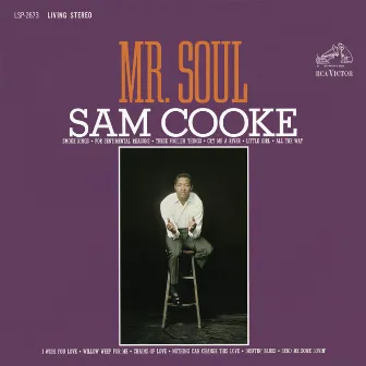 Mr. Soul by Sam Cooke