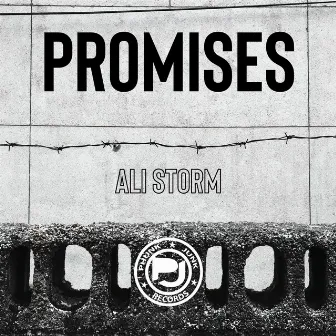 Promises by Ali Storm