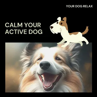 Calm Your Active Dog by Your Dog Relax