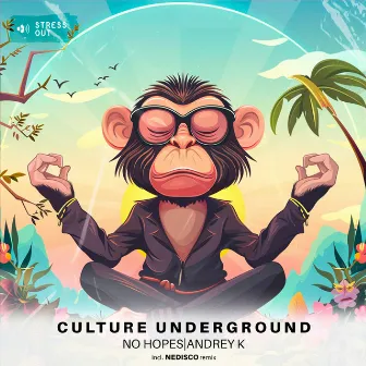 Culture Underground (Nedisco Remix) by Nedisco