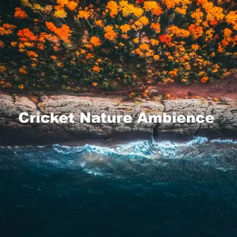 Cricket Nature Ambience by Cricket Sounds