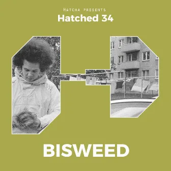 Hatched 34 by Bisweed