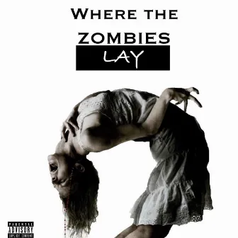 Where the Zombies Lay by NFL Rochi