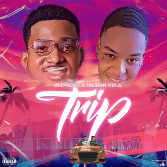 Trip by Ali Profit