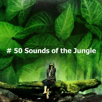 # 50 Sounds of the Jungle by Nature Songs Nature Music