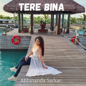 Tere Bina by Abhinanda Sarkar