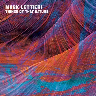 Things of That Nature by Mark Lettieri