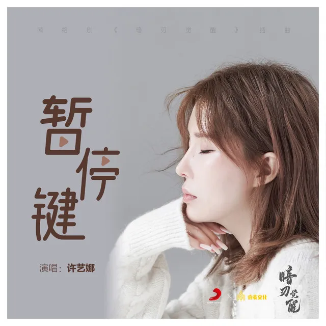 暂停键 - 《暗刃觉醒》网络剧插曲