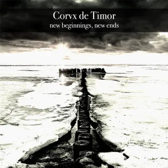 New Beginnings, New Ends by Corvx De Timor