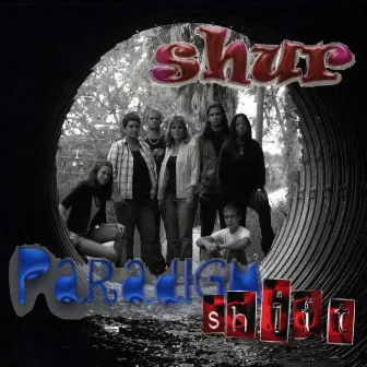 Paradigm Shift by Shur