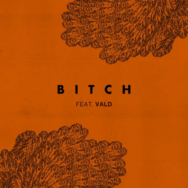 Bitch (feat. Vald)