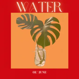 WATER by Ol' June