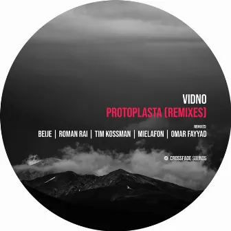 Protoplasta (Remixes) by Vidno