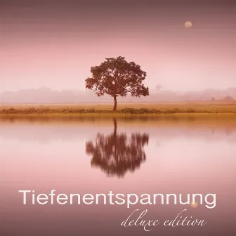 Tiefenentspannung Deluxe Edition – 8 Stunden Musik Für Tiefenentspannung und Autogenes Training, Schlaf Gut, Ruhe, Gesunder Schlaf, Entspannungsmusik für Wellness, Spa, Massage, Erholung, Meditation, Entspannung, Regeneration by Tiefenentspannung Atmospheres