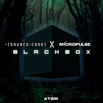 Blackbox by Source Code (aka Lozza)