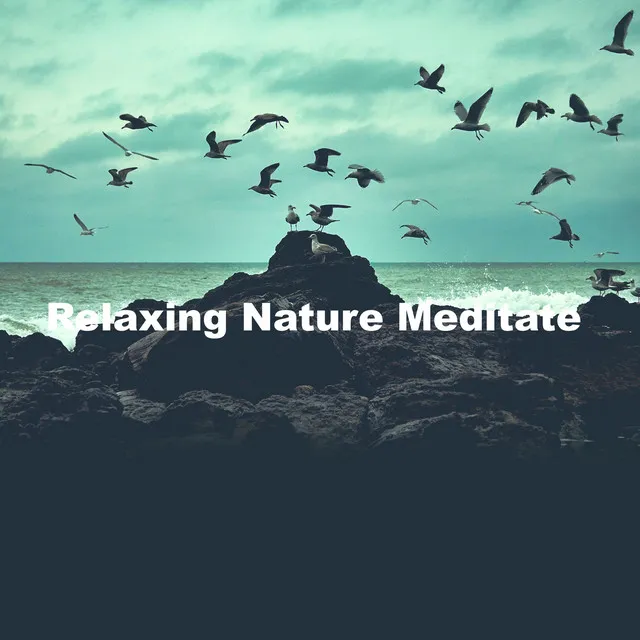 Relaxing Nature Meditate