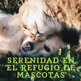 Serenidad En El Refugio De Mascotas: Cultivar La Calma Interior by Mascotas