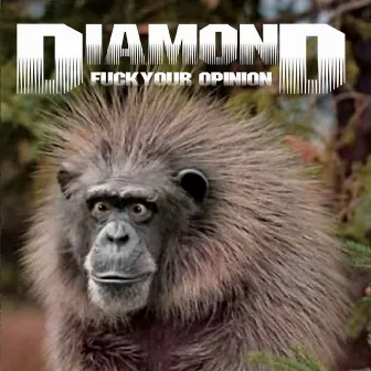 Fuck Your Opinion by Diamond