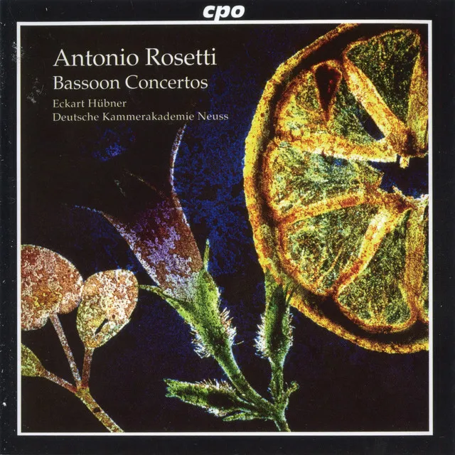 Bassoon Concerto No. 2 in F Major, C75: I. Allegro moderato