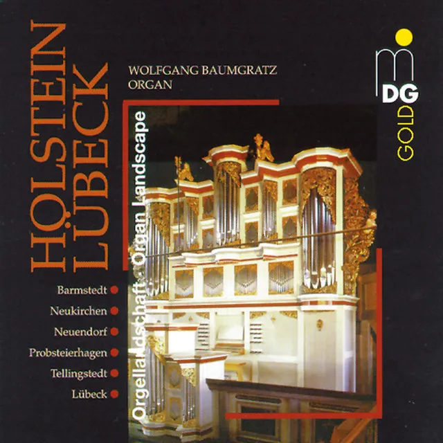 Holstein Organ Landscape, Vol. 1