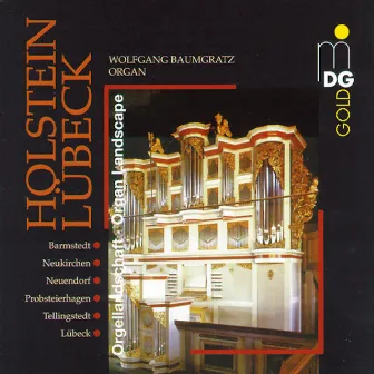 Holstein Organ Landscape, Vol. 1 by Wolfgang Baumgratz