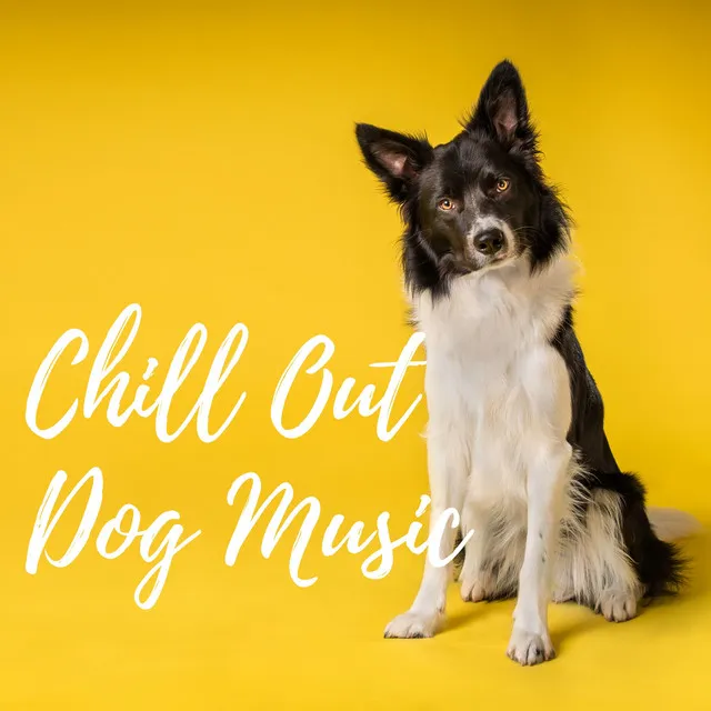 Chill Out Dog Music