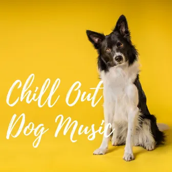 Chill Out Dog Music by Nu Jazz Club