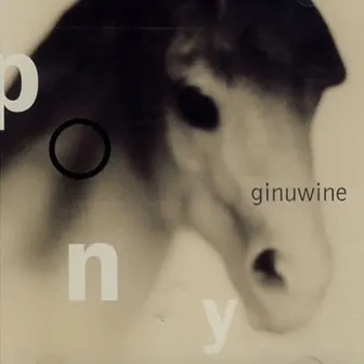 Pony by Ginuwine