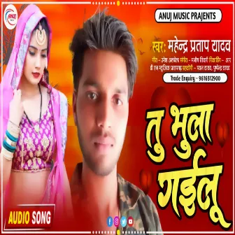 Tu Bhula Gailu (Bhojpuri) by Mahendra Pratap Yadav