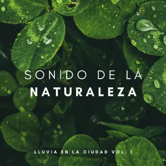 Sonido De La Naturaleza: Lluvia En La Ciudad Vol. 1 by Estrellita Dónde Estás