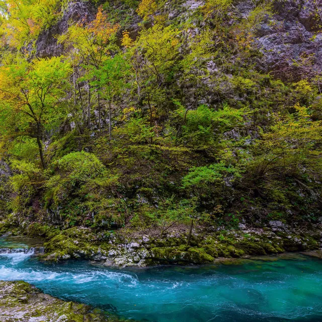 Musical Flow of Azure Tranquility