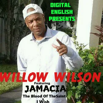 Digital English Presents Willow Wilson by Willow Wilson