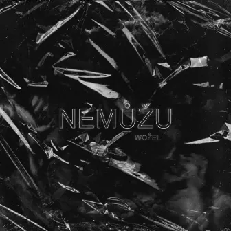 Nemůžu by Wožel