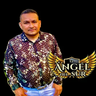 CORRIDOS Y CANCIONES, Vol. 4 by EL ANGEL DEL SUR