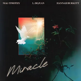 Miracle by Mag Timothy