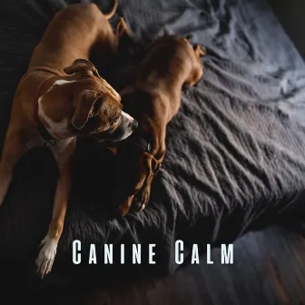 Canine Calm: Serene Sounds for Relaxing Dogs by Fashionable Doggy Music