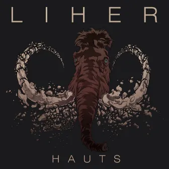 Hauts by Liher