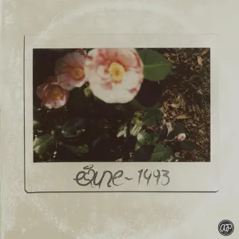 1993 by emune