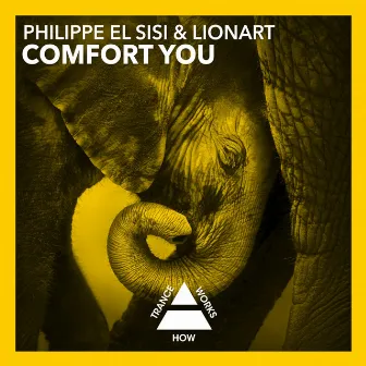 Comfort You by Lion Art