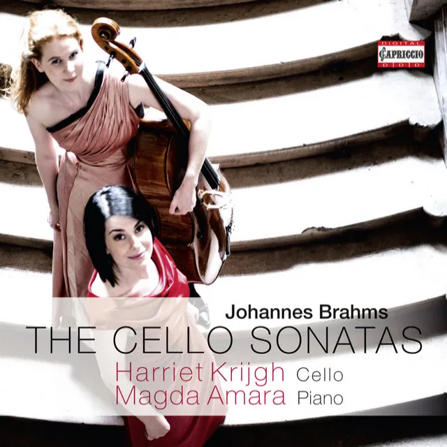 Cello Sonata No. 1 in E Minor, Op. 38: I. Allegro non troppo