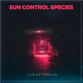 Cheap Tricks by Sun Control Species