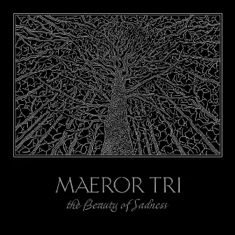 The Beauty of Sadness by Maeror Tri