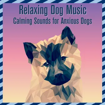 Relaxing Dog Music: Calming Sounds for Anxious Dogs by Dog Music Dreams