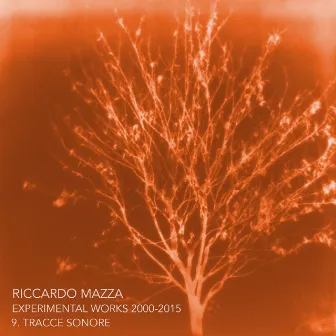 Experimental Works 2000-2015: Tracce Sonore (Disk 9) by Riccardo Mazza