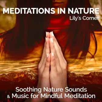 Meditations in Nature (Soothing Nature Sounds & Music for Mindful Meditation) by Lily's Corner