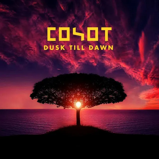 Dusk Till Dawn