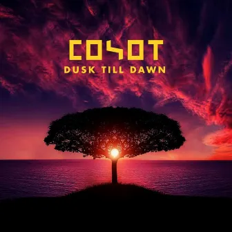 Dusk Till Dawn by Coyot