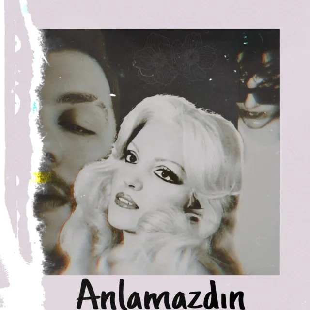 Anlamazdın