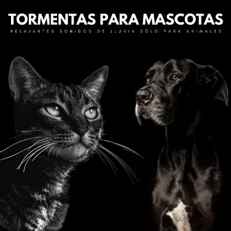 Tormentas Para Mascotas: Relajantes Sonidos De Lluvia Sólo Para Animales by Efectos especiales de lluvia del bosque