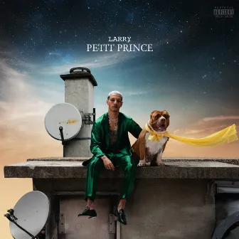 Petit Prince by Larry